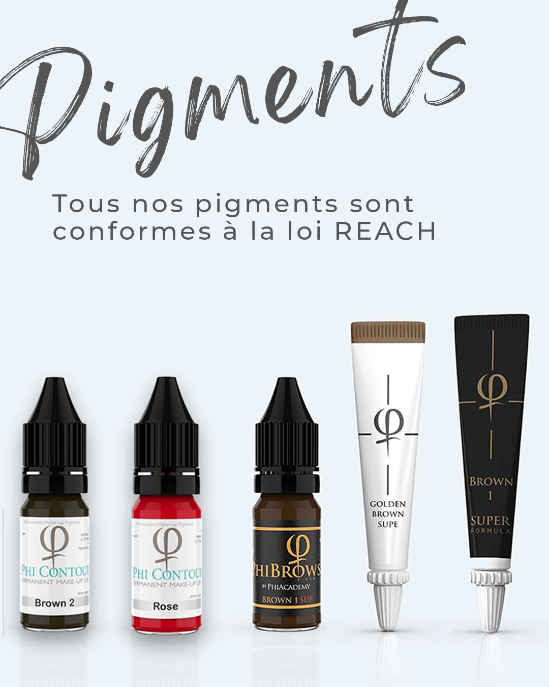 Pigment loi REACH